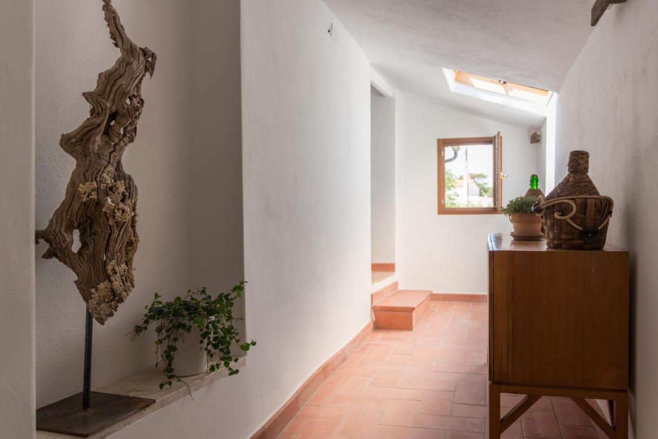 Agriturismo Schiaccia Ghiande ماسا ماريتيما المظهر الخارجي الصورة